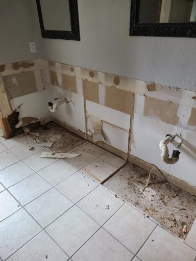 Restoring Master Bathroom